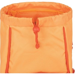 KLEINER RUCKSACK LÖWE TANN'S